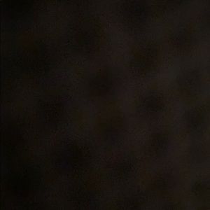 Meet your Posher, Madi